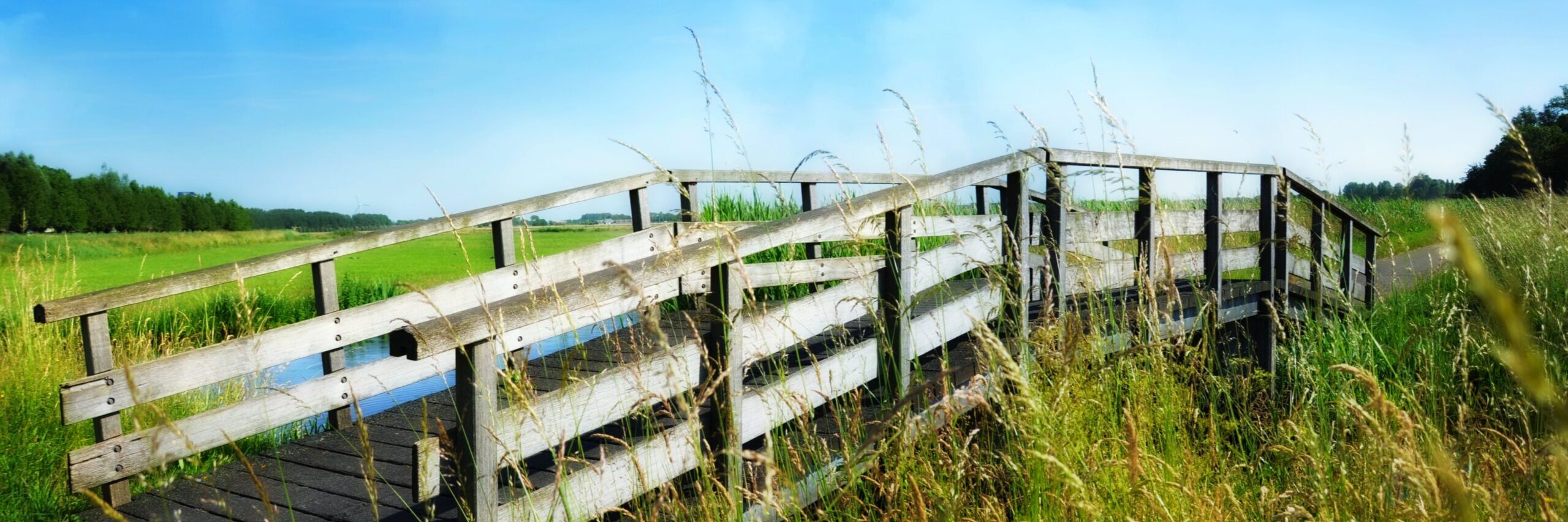 Houten brug in weiland