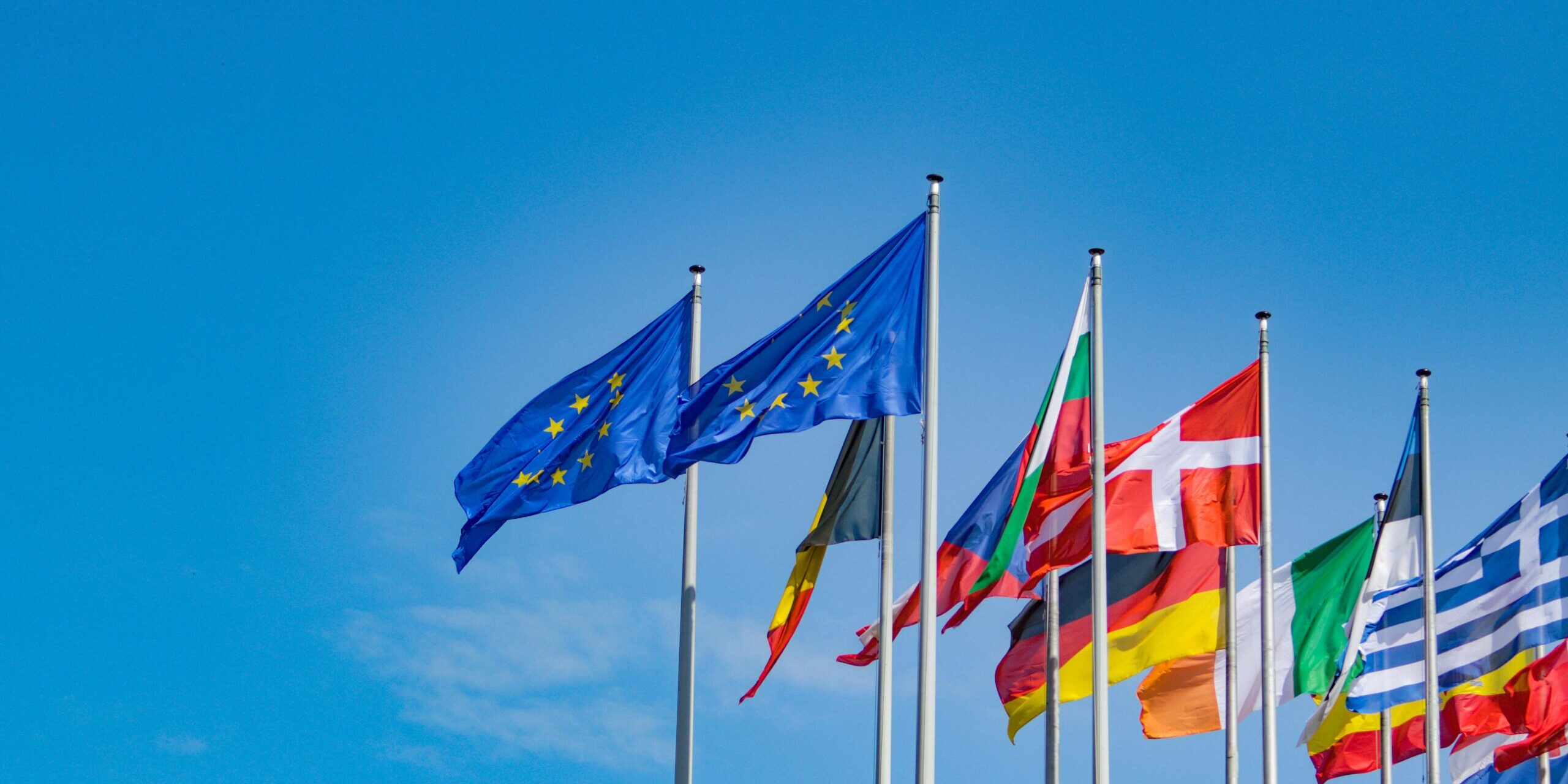 dusan_cvetanovic-european-union-6405066